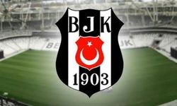 Beşiktaş yeni başkanını 29 Aralık'ta seçecek