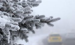 Doğu Anadolu'da dondurucu soğuklar etkisini sürdürüyor