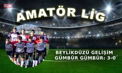 Beylikdüzü Gelişim gümbür gümbür: 3-0