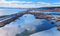 Bitlis'teki "kuş cenneti" yüzeyinin büyük bölümü buz tuttu