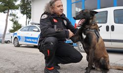 Isparta Emniyetinin göz bebeği "Milon" üçüncü kez ayın narkotik köpeği seçildi