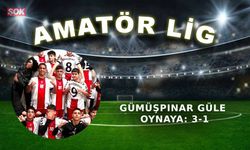 Gümüşpınar güle oynaya: 3-1