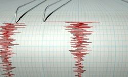 AFAD duyurdu: Bingöl'de deprem meydana geldi