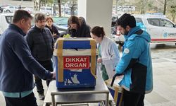 Trabzon'da beyin ölümü gerçekleşen gencin organları 5 kişiye umut olacak