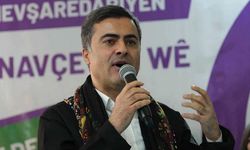 Van Büyükşehir Belediyesi eş başkanı Abdullah Zeydan'a hapis cezası