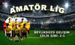 Beylikdüzü Gelişim Çelik gibi: 2-1