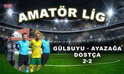 Gülsuyu- Ayazağa dostça: 2-2