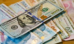 Dev banka tahmin etti: İşte dolar/TL beklentisi...