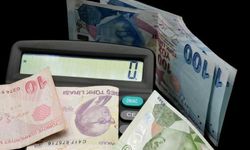 Dev firma kapandığı için her şeyi ucuza satacaklar!