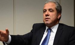 Şamil Tayyar'dan 'yol haritası': PKK pazartesi günü fesih kararını açıklayacak
