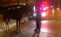 Atla giderken 'alkollü araç kullanmak'tan ceza yedi