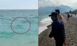 Antalya'da taş atarak köpek balığını kovalamaya çalıştılar