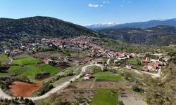 Herkes o köye akın etti