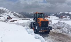 Mayıs ayında lapa lapa kar yağdı: Yollar kapandı