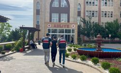 Ölen köpeği ruhsatsız motosiklete bağlayıp yollarda sürüklediler: Serbest bırakıldılar!