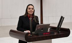 Ayyüce Türkeş'e babasının mezarında saldırı