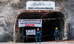 Resmi Gazete'de yayımlandı: Çayırhan Termik Santrali özelleştirildi
