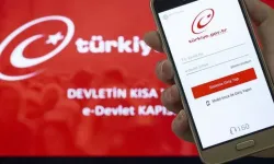 Araç sahiplerine büyük kolaylık: e-Devlet’e bomba hizmet geldi