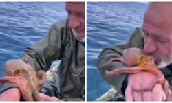 Ağına takılan ahtapotu önce öptü sonra denize bıraktı