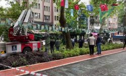 Dev ağaç kafenin üzerine devrildi!