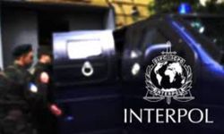 INTERPOL bültenleri nedir, Ne işe yarar?