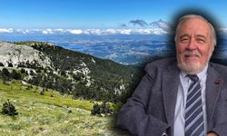İlber Ortaylı'dan Kaz Dağları çıkışı: Yağmalanıyor!