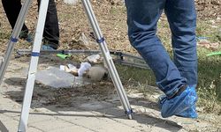 Çöpte bulunan kafatasının sırrı çözüldü