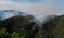 Kahramanmaraş'ta orman yangını