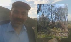 Kangallardan korkan ayı ağaca tırmandı