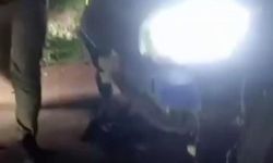 Otomobilin çarptığı 10 küçükbaş hayvan öldü