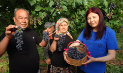 Bölgenin siyah incisi... Tatlı, sulu ve vazgeçilmez! Kilosu tam 250 lira