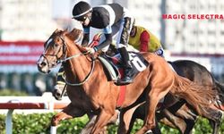 Tüyosu olan kazanır! 29 Kasım at yarışı tahminleri