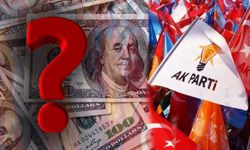 AK Partili ismin 'döviz' önerisi şok etti: 'Ekonomist değilim ama...'