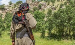 PKK neden silah bıraktığını açıklamadı! Canlı yayında çarpıcı açıklama?
