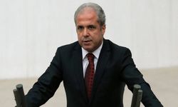 Abdullah Öcalan serbest mi kalacak? Şamil Tayyar açıkladı