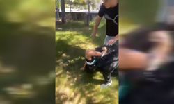 Şehir eşkıyaları iş başında! 12 yaşındaki çocuğu öldüresiye darp edip videosunu çektiler!