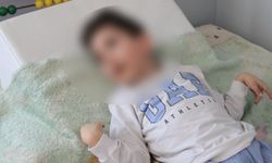 1 buçuk yaşında uyurken oldu! Bir ısırıkla hayatı karardı