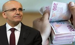 Yüksek maaş alanlar dikkat! Mehmet Şimşek cezayı kesecek