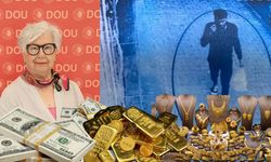 BM’de görev yapan bilim insanı Ülker Meral Çulha, milyonlarca lira dolandırıldı!
