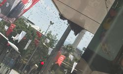 Denizli'yi arılar bastı: Esnaf kepenk kapattı!