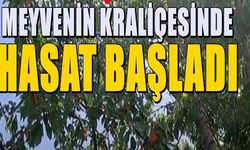 Meyvenin kraliçesinin 81 ilde hasadı sürüyor! e Isparta'dan yoğun talep var