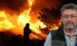 Türkiye'nin ciğerleri yanıyor! Yangınlarda son durum