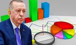 AK Parti'nin iki kalesinde anket: Kim önde?