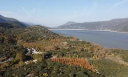 Bir ilde daha ormanlara giriş yasaklandı!