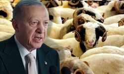 Cumhurbaşkanı Erdoğan kurbanda ne kesti? Bedeli belli oldu!