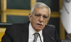Ahmet Türk'ten yeni infaz paketi tepkisi: Hayal kırıklığı