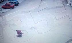 Zihinsel engelli adama sokak ortasında saldırı! O anlar kamerada