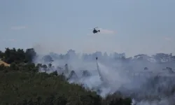 Arazideki alevler ormana sıçradı! Korkutan yangın