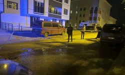 Babasını sokak ortasında defalarca bıçakladı!