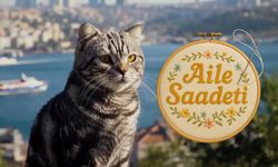 Dizide tablo bile konuştu: Aile Saadeti’nde yapay zeka sürprizi